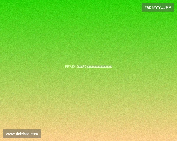 FIFA2010世界杯PC补丁整合升级与游戏体验优化完全指南